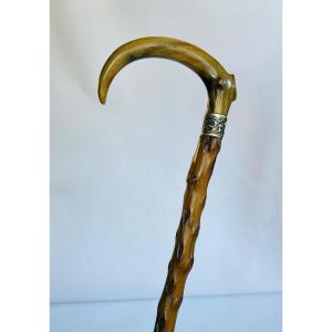Walking Stick 